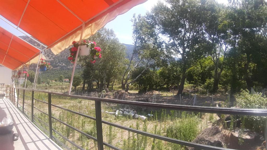 Zahrada ubytování Vila Visi