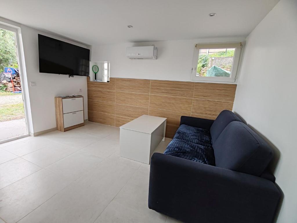 un salon avec un canapé et une télévision à écran plat dans l'établissement appartement Olivier, à Vence