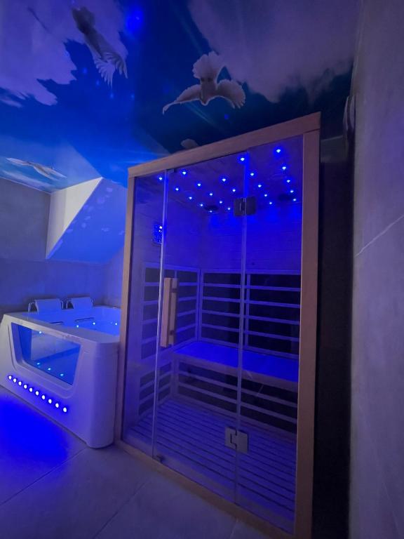 une salle de bain avec un plafond sur le thème des baleines et une douche dans l'établissement Oasis Spa près de Disney, à Nanteuil-lès-Meaux