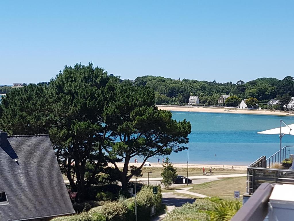 - une vue sur la plage avec un arbre et l'océan dans l'établissement residence des plages, à Guidel