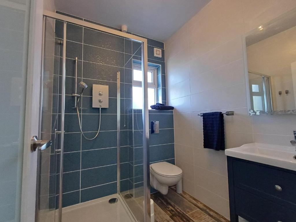 a bathroom with a shower and a toilet and a sink at Marta Studio Apartment in Ennistymon