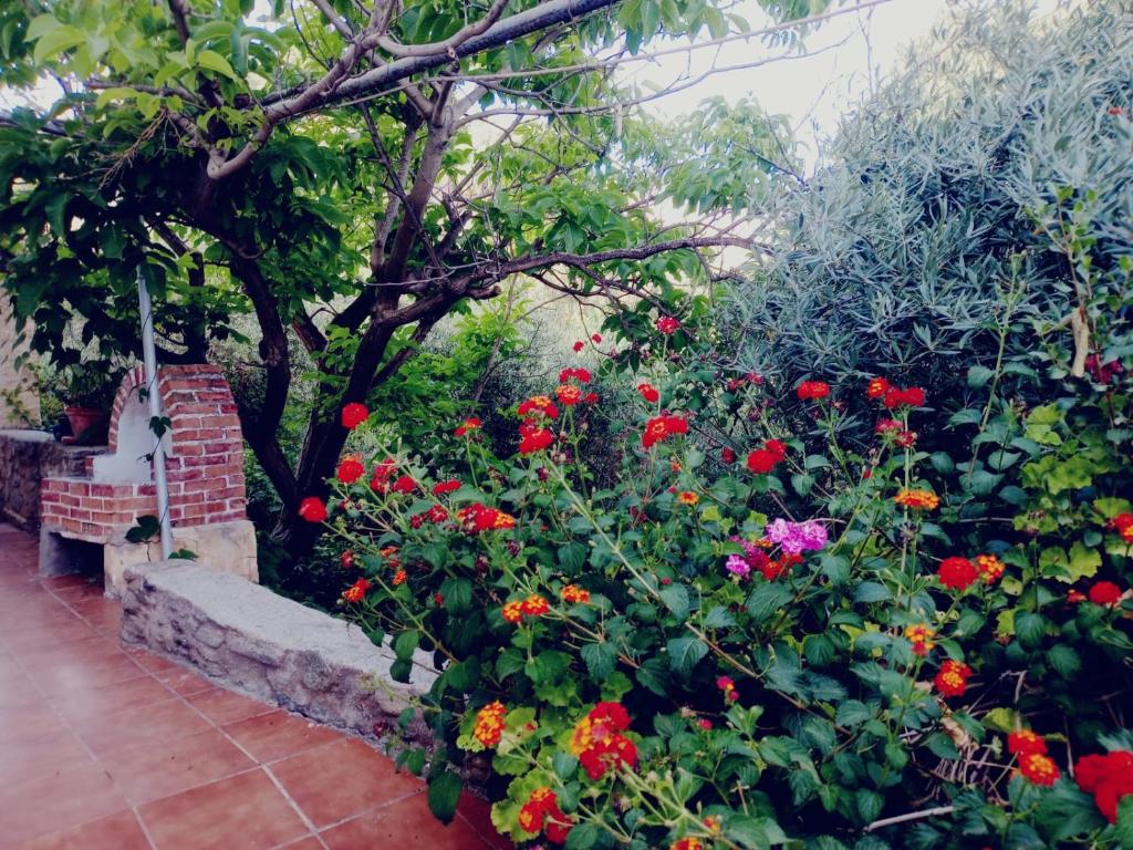 a garden filled with red and pink flowers at Cortijo Rural Violeta in Órgiva