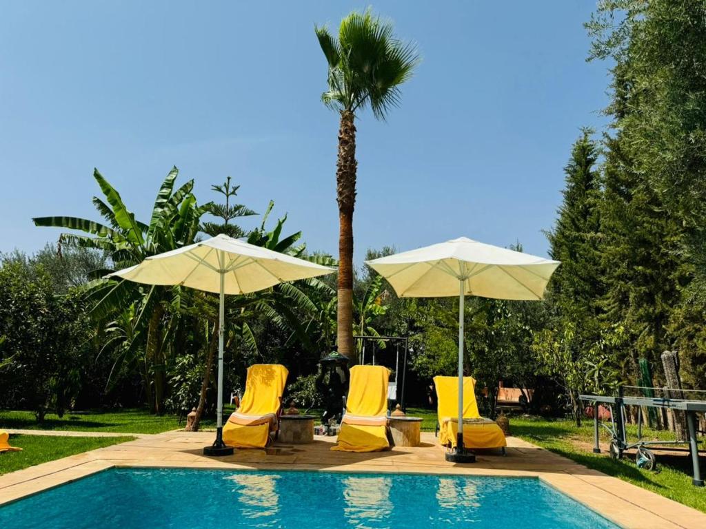 a group of chairs and umbrellas next to a pool at Ilafe Farmhouse, Villa avec Piscine Chauffée Privée et Jacuzzi pour Familles in Marrakech