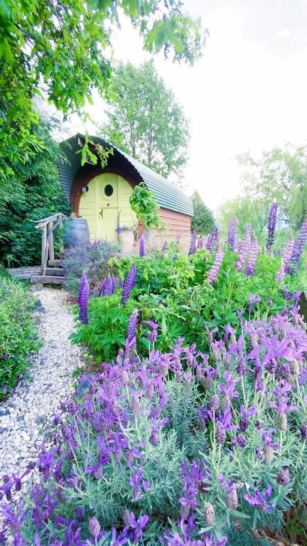 Zahrada ubytování Springfield Cabin