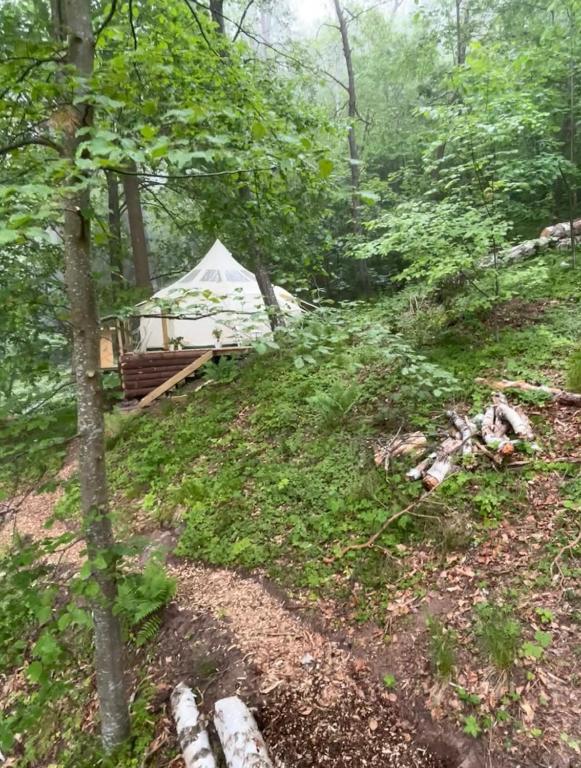 Příroda nedaleko luxury tent