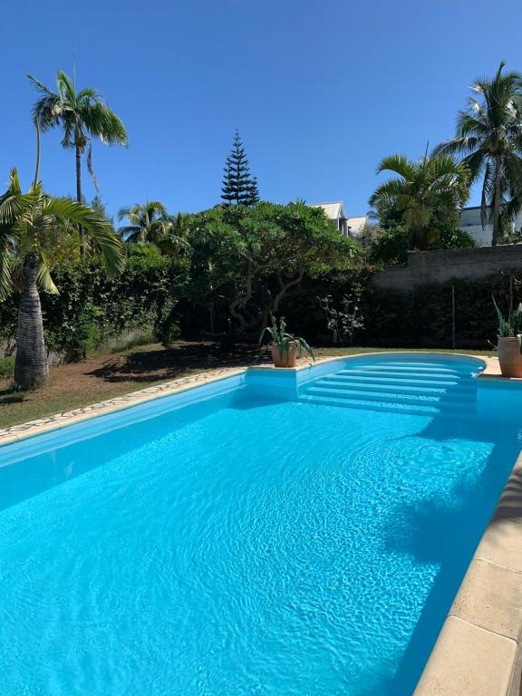 una piscina blu con palme sullo sfondo di Ti Coin Les Coraux a La Saline Le Bains