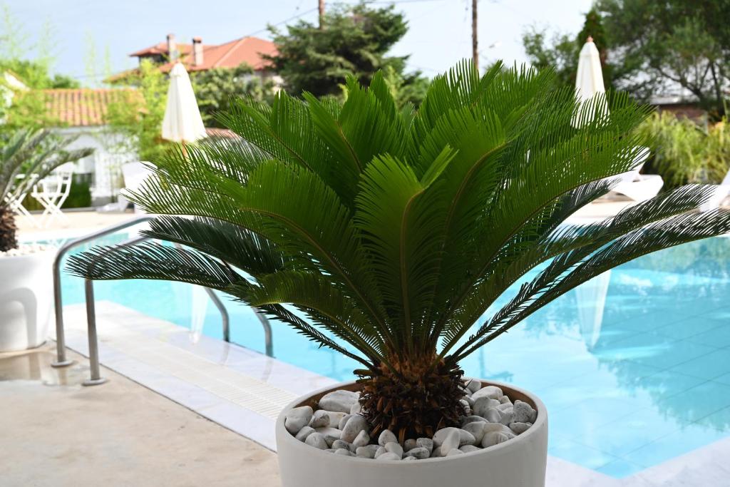 Bazén v ubytování Agorastos Luxury Living nebo v jeho okolí