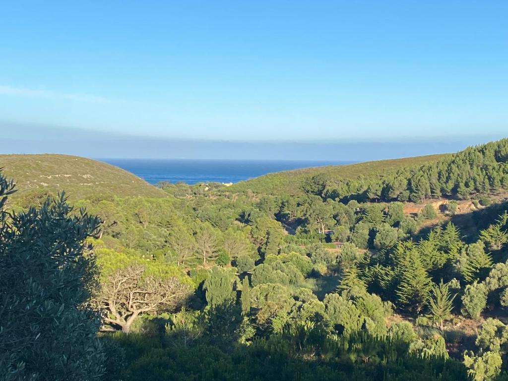 an aerial view of a forest with the ocean at Amazigh Guincho Hostel & Suítes in Cascais