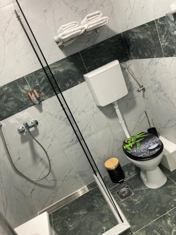 ein Badezimmer mit einem WC und einer Glasduschkabine in der Unterkunft Apartman Aleksandar 2 in Nova Varoš