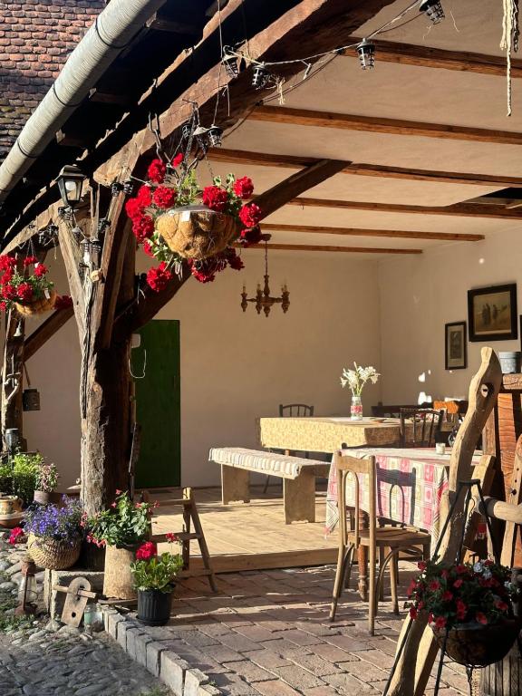 Fotografie z fotogalerie ubytování Saschiz 175 GuestHouse v destinaci Saschiz