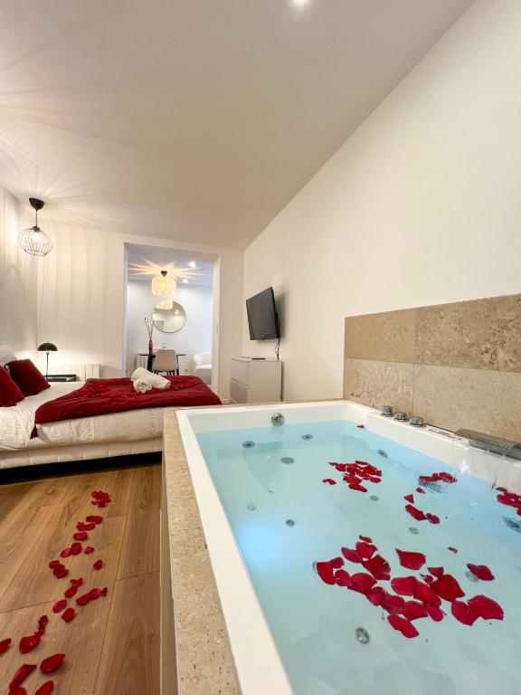 une chambre avec une grande piscine au milieu d'une pièce dans l'établissement Bibemus Casa Maja - baignoire balnéo - parking - terrasse, à Saint-Étienne