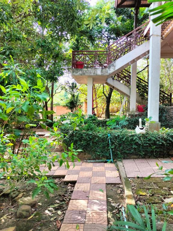 Zahrada ubytování Jungle House Kep