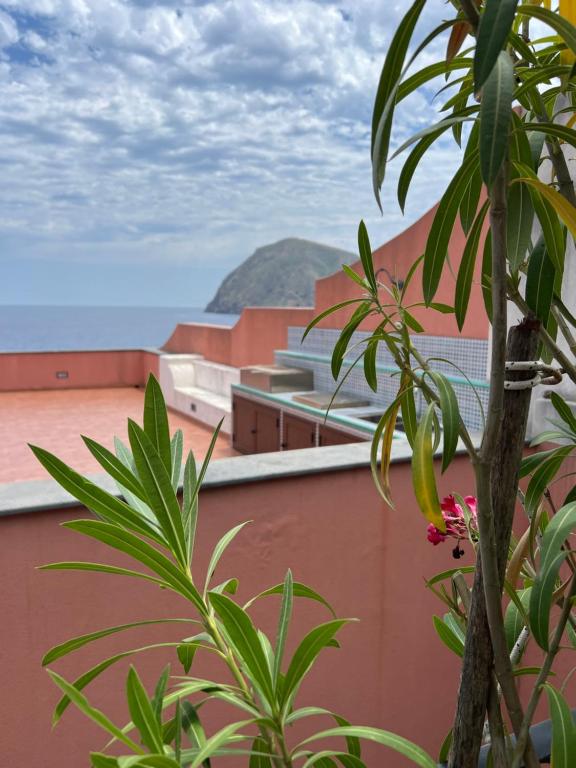 Casa Calandra - Housity