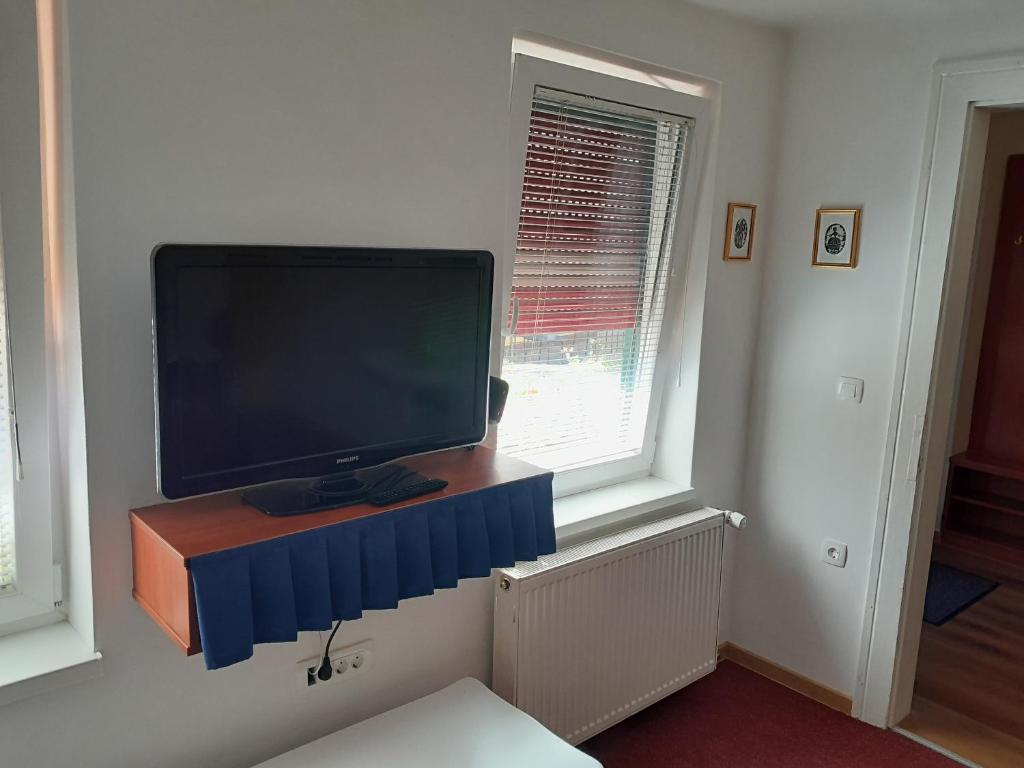 TV a/nebo společenská místnost v ubytování Hotel Pri Belokranjcu