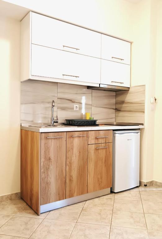 Kuchyň nebo kuchyňský kout v ubytování Giorgos Apartments.