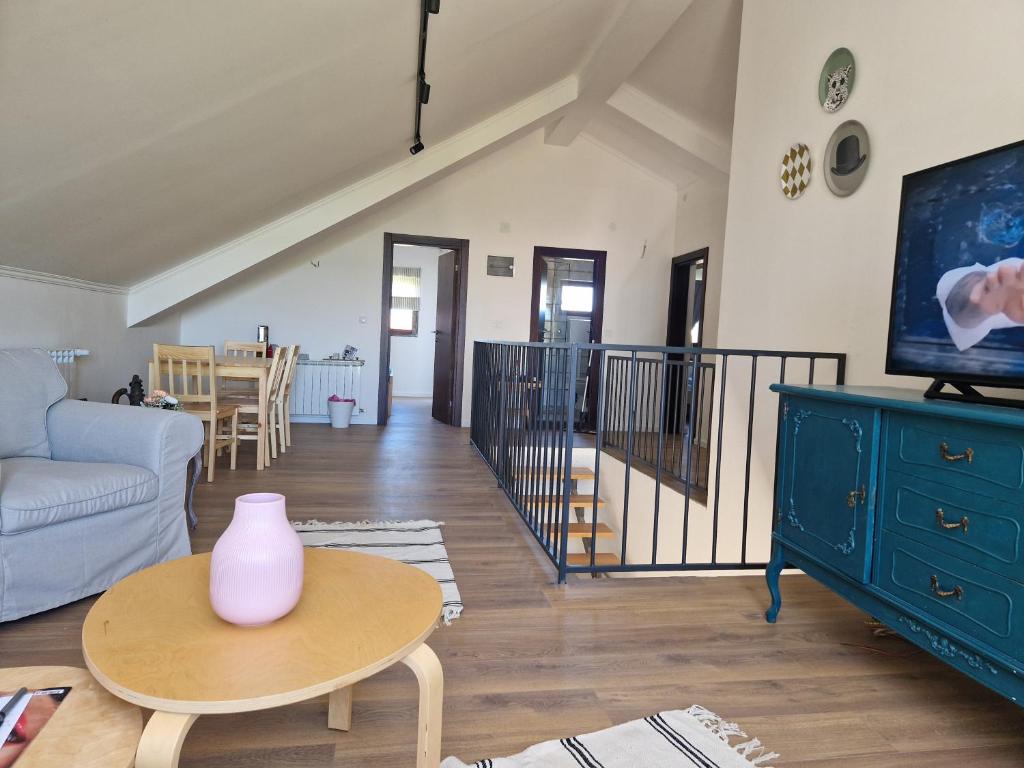 TV a/nebo společenská místnost v ubytování Che Private Rooms Banovci