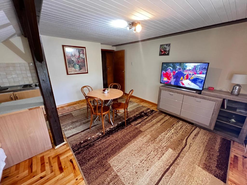 Televízia a/alebo spoločenská miestnosť v ubytovaní Apartamenty pokoje INA