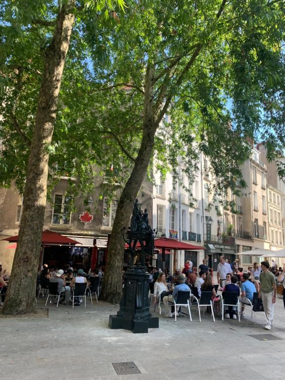 a group of people sitting in chairs under trees at Hôtel Saint-Patrick in Nantes