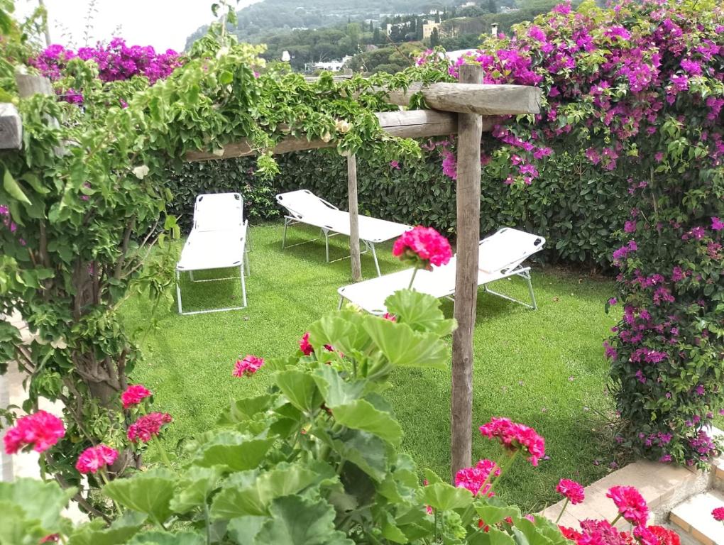 A garden outside La Mouette di Nico