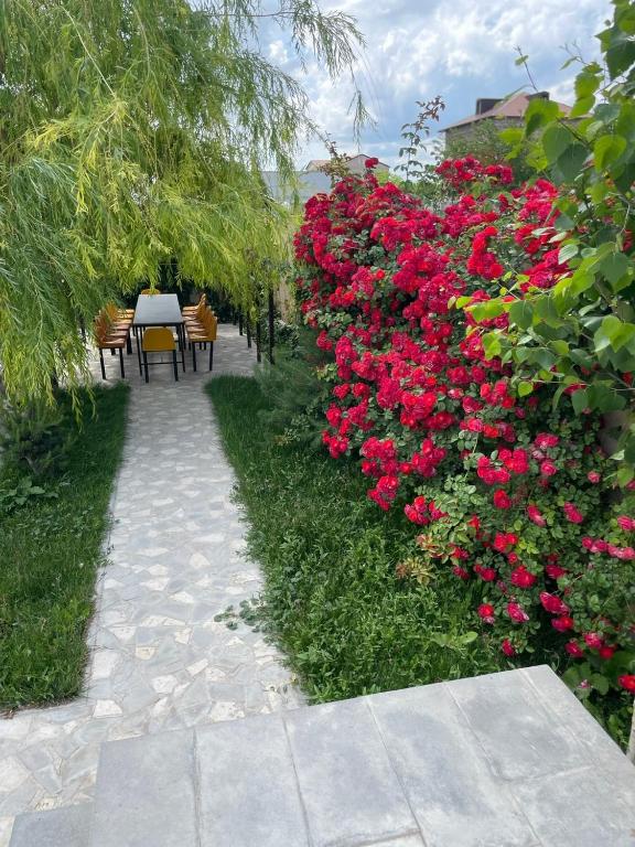 Zahrada ubytování DECCA Hotel