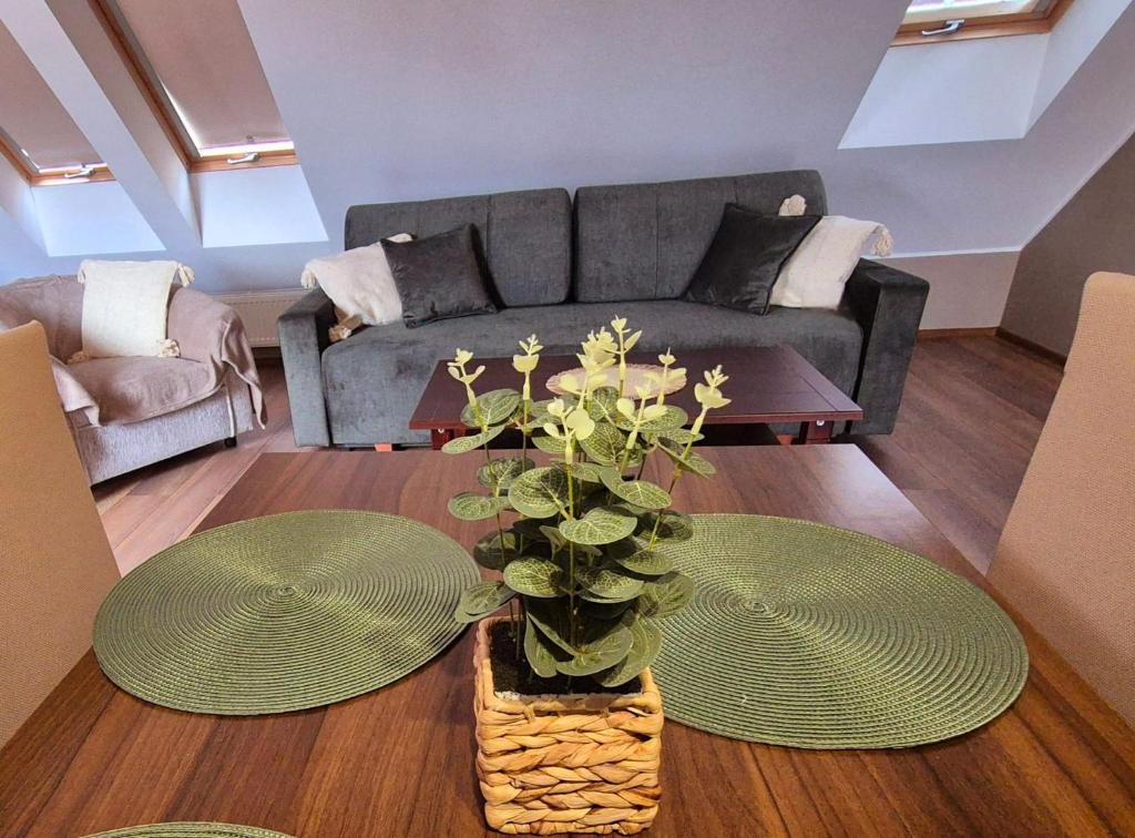 Posezení v ubytování B&B Penzión Magura