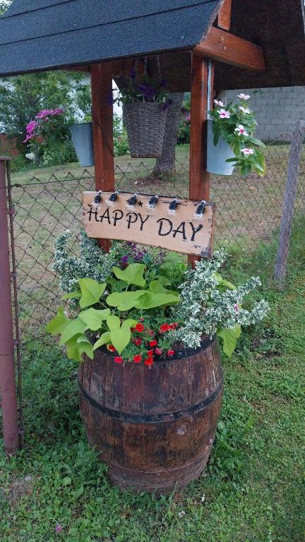 Vonkajšia záhrada v ubytovaní Guest House Happy day