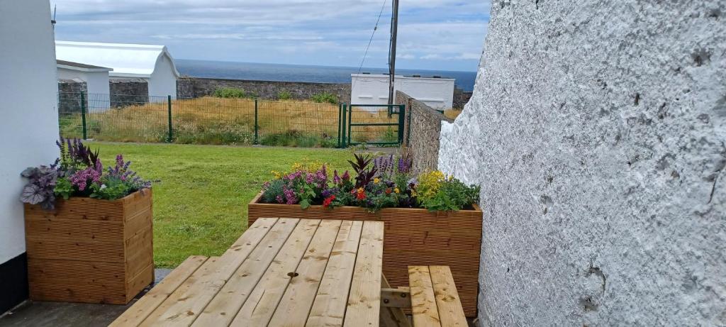 Zahrada ubytování Loop Head Lighthouse Attendant's Cottage
