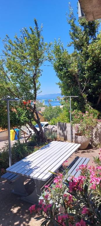 Príroda v okolí apartmánu
