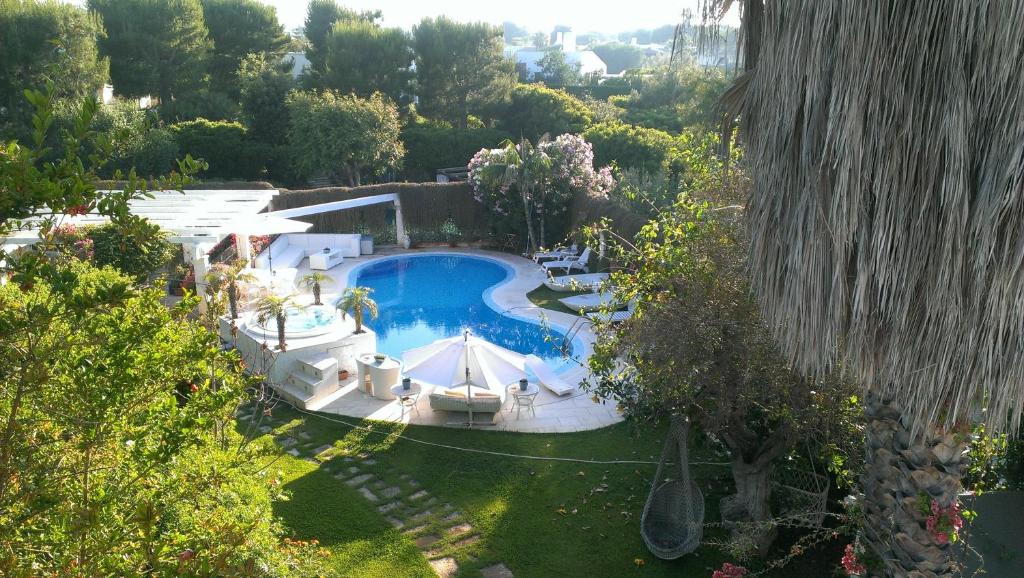 an overhead view of a swimming pool in a garden at Villa Rosamarina in Rosa Marina