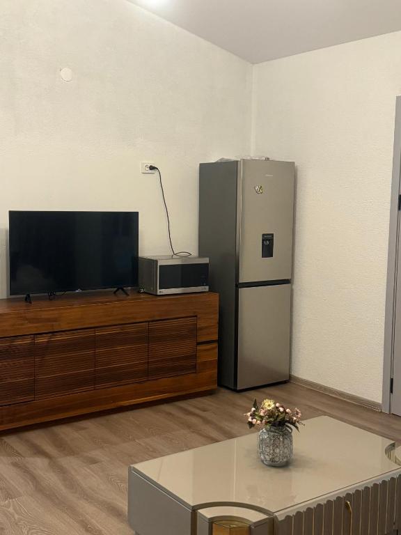 TV a/nebo společenská místnost v ubytování Guest House Elene