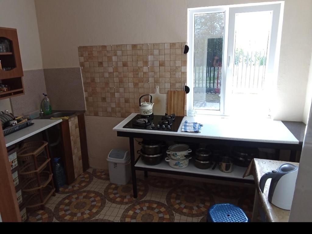 Kuchyň nebo kuchyňský kout v ubytování Guest house Family