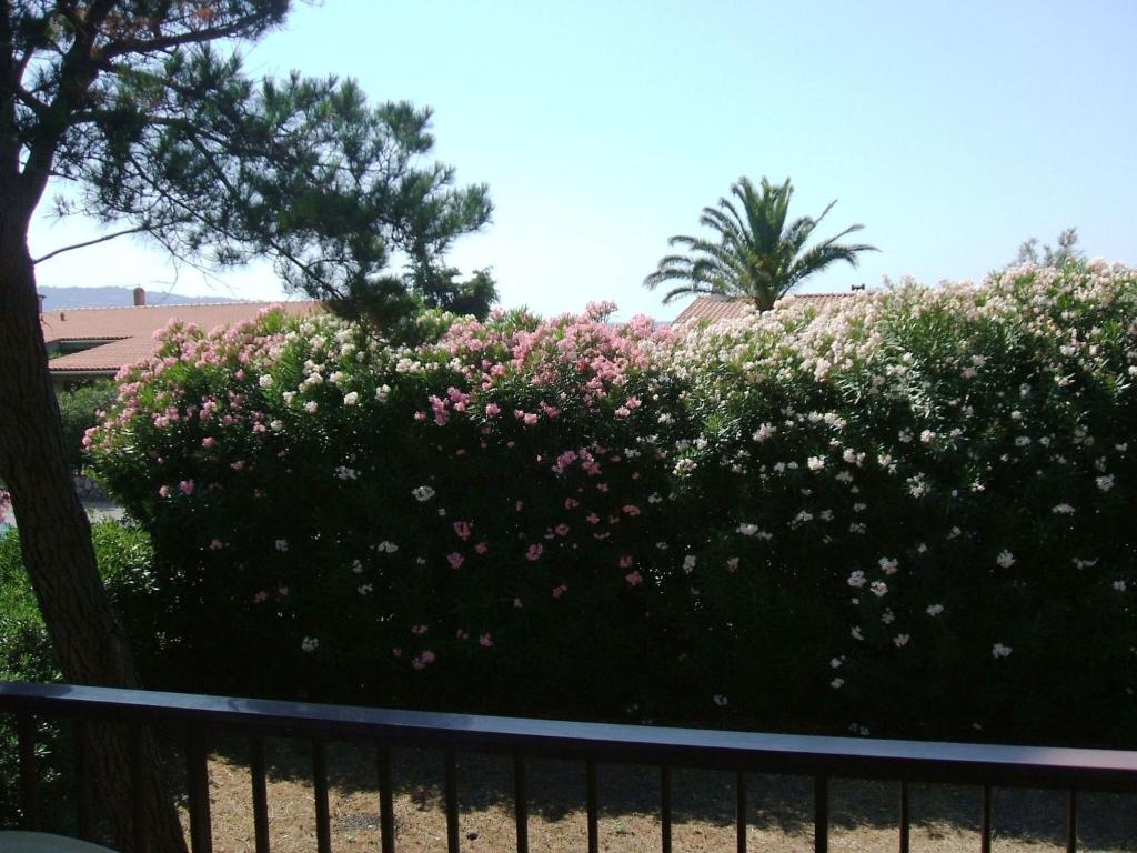 Ogród w obiekcie Italian Experience-Casa Argentario