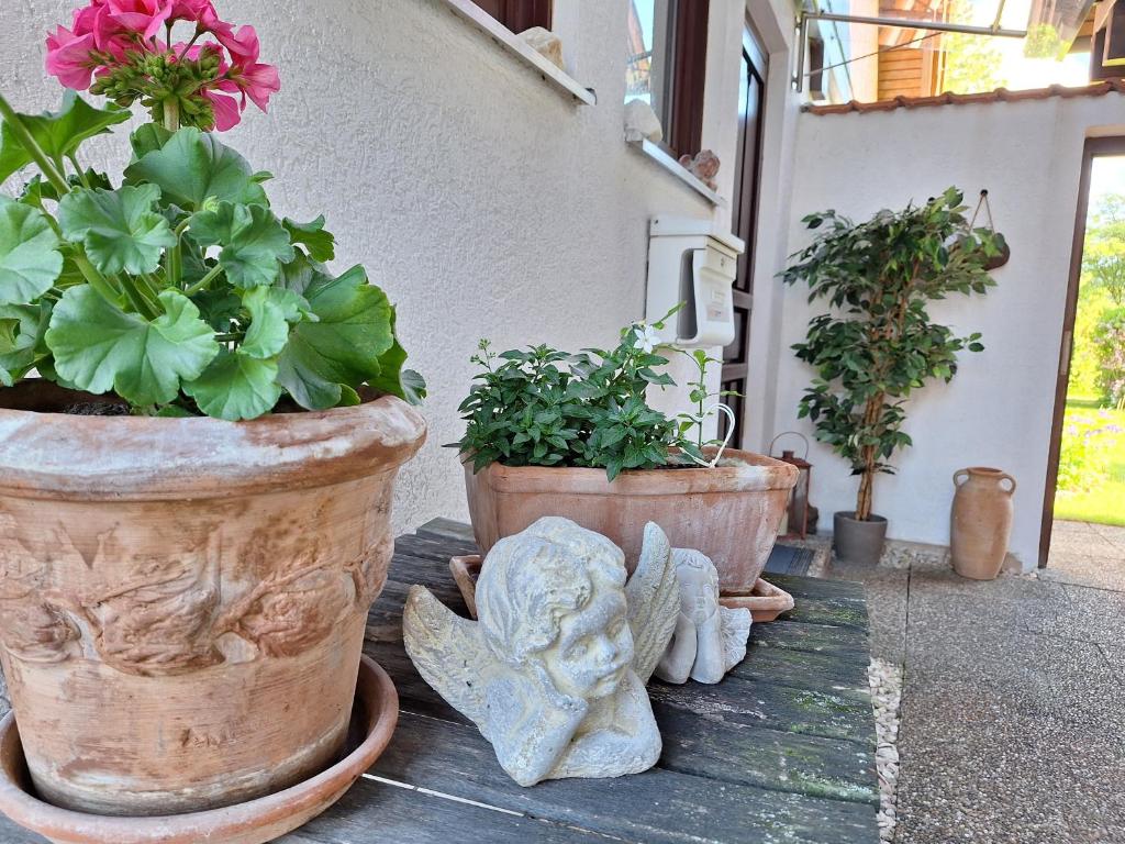 Zahrada ubytování Ferienchalet Hechingen
