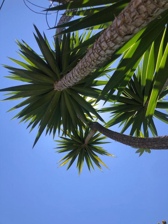 Fotografie z fotogalerie ubytování Authentic Andalucia v destinaci Marbella