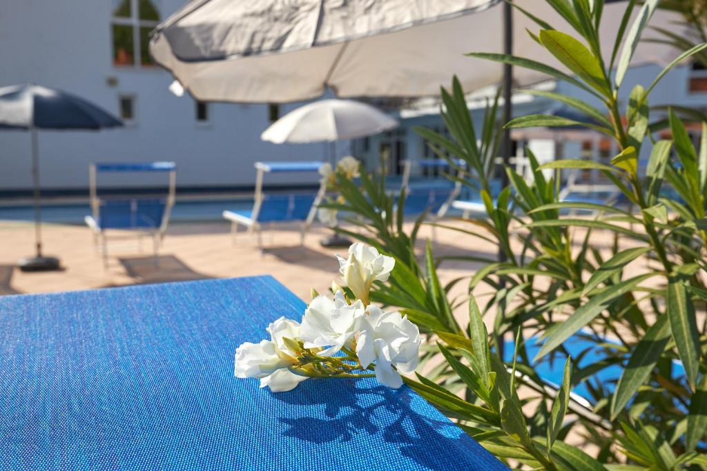 Vonkajšia záhrada v ubytovaní Hotel Silver