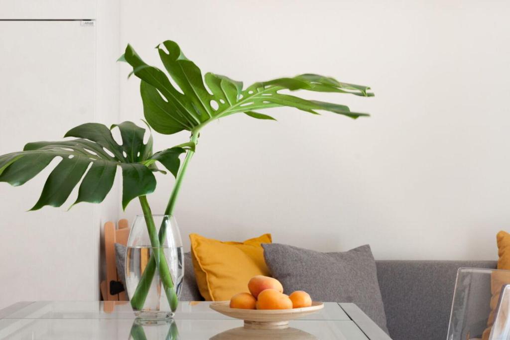 Kép Italian Experience-Lungarno Suite Apartment szállásáról Firenzében a galériában