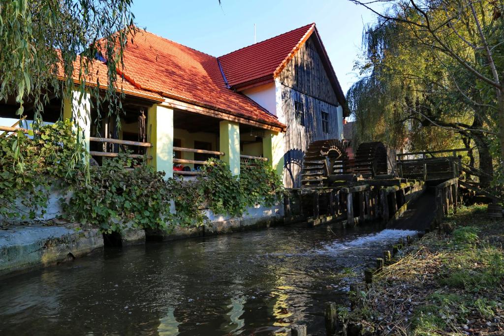 a house next to a river next to a building at Pensiunea Moara Lu Antone in Orăştioara de Sus