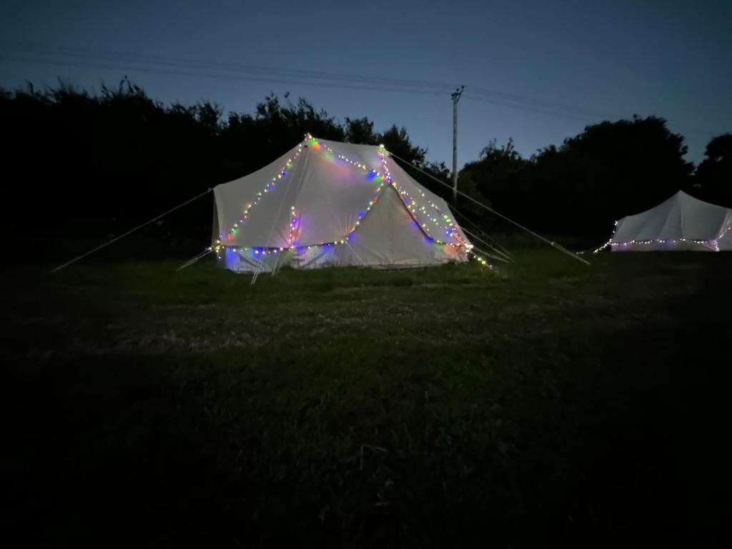 Fotografie z fotogalerie ubytování Cooll Camping Canterbury v destinaci Canterbury