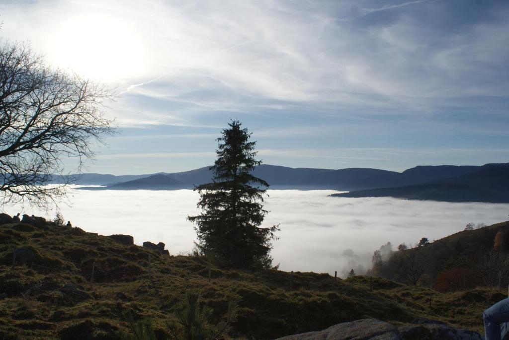 La grange de Joséphine – photo 10