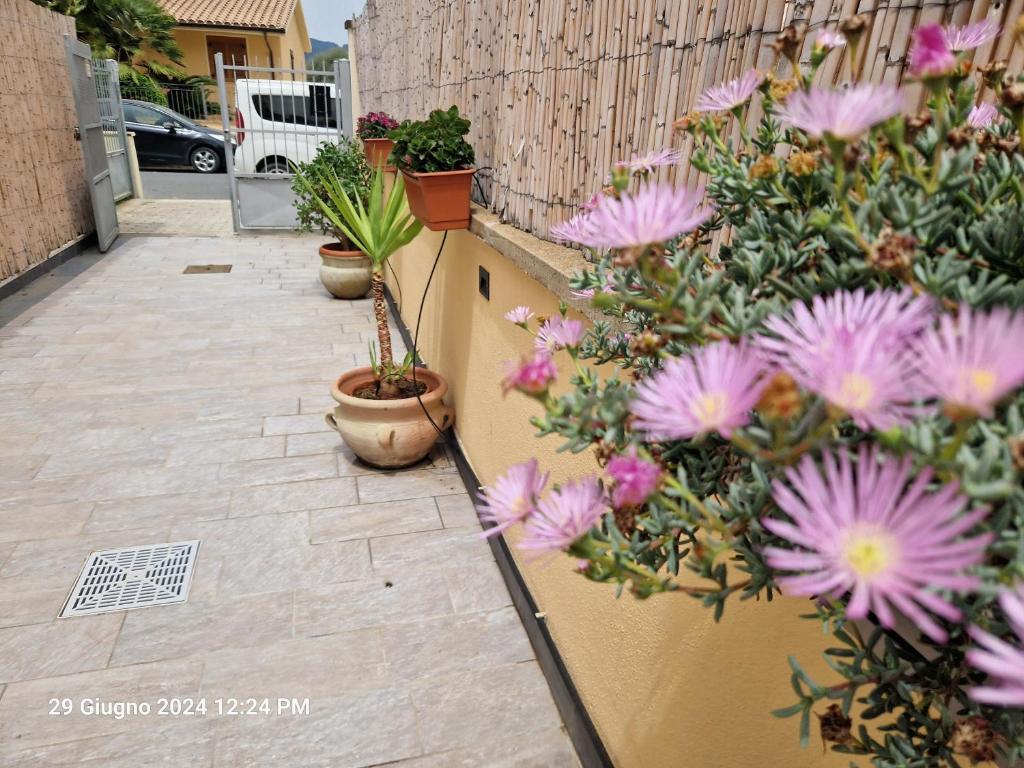 Vonkajšia záhrada v ubytovaní Villa Kate Pula Sardegna
