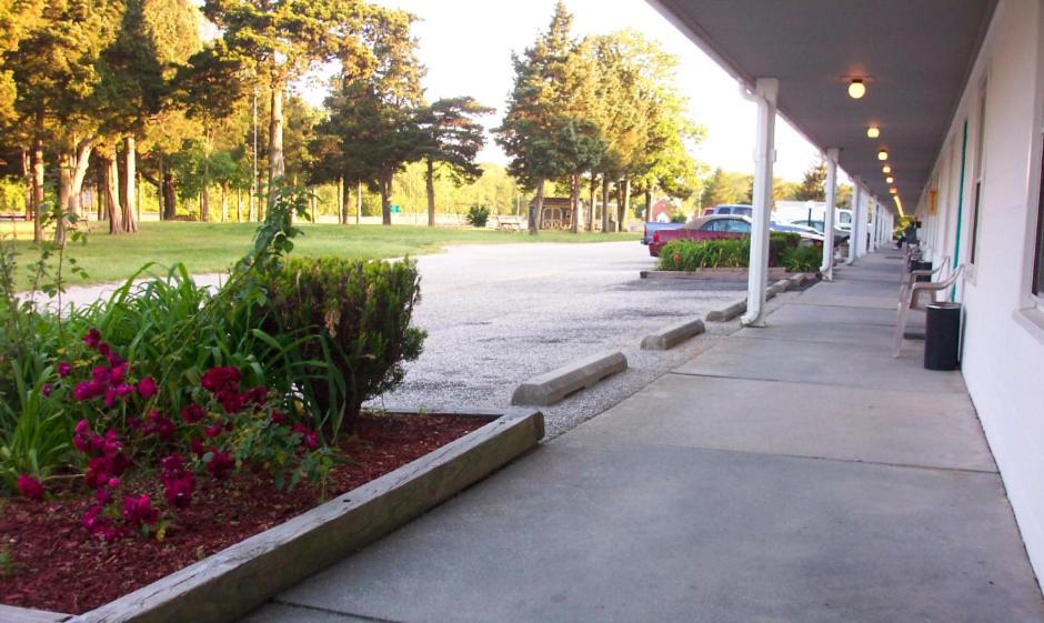 Zahrada ubytování Hyland Motor Inn