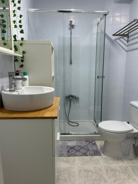 a bathroom with a shower and a sink and a toilet at El estudio de Alejandro in Torre del Mar