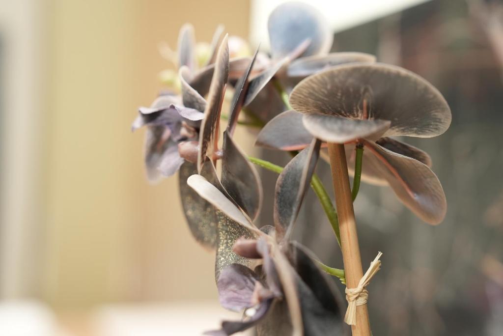 Hotel Attaché an der Messe - Resim 42