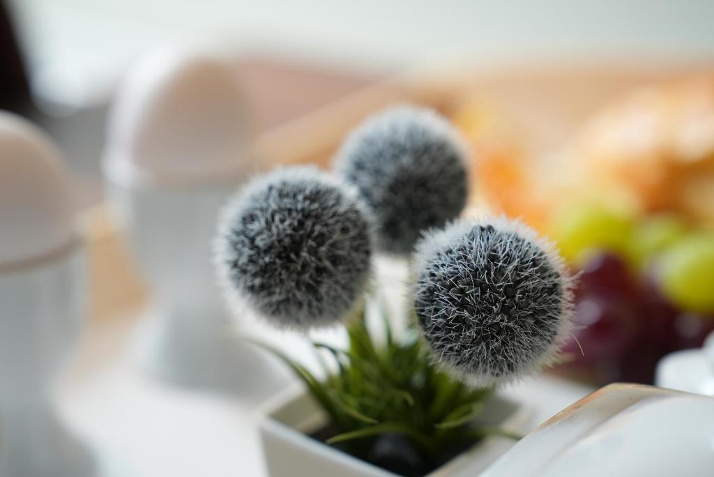 Hotel Attaché an der Messe - Resim 43