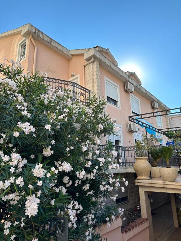 ein Gebäude mit weißen Blumen davor in der Unterkunft Apartmani Aleks in Budva