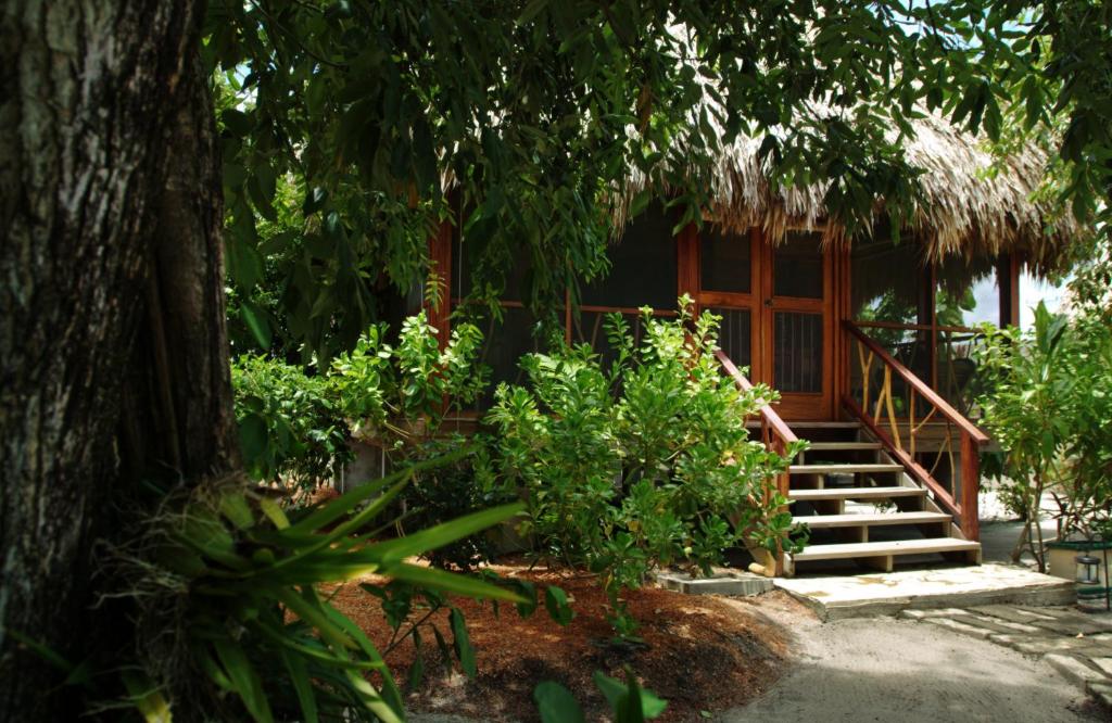 Zahrada ubytování Turtle Inn by Francis Ford Coppola