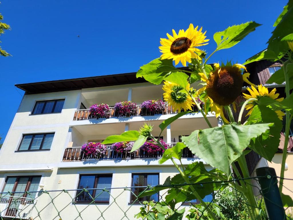 Vonkajšia záhrada v ubytovaní Gästehaus Herma