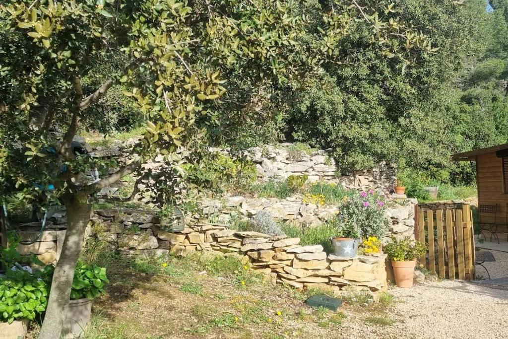 un mur en pierre dans un jardin avec un arbre dans l'établissement Maisonnette chez l'habitant, à La Ciotat