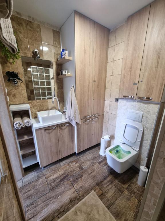 Koupelna v ubytování Apartmány 235 - 1