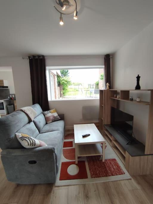 un salon avec un canapé et une cheminée dans l'établissement Appartement Rubrouck 1 chambre, à Rubrouck